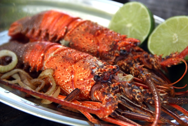 Lagostins direto da balança do peixe para a barraca da Betânia, chef da gastronomia dos mares