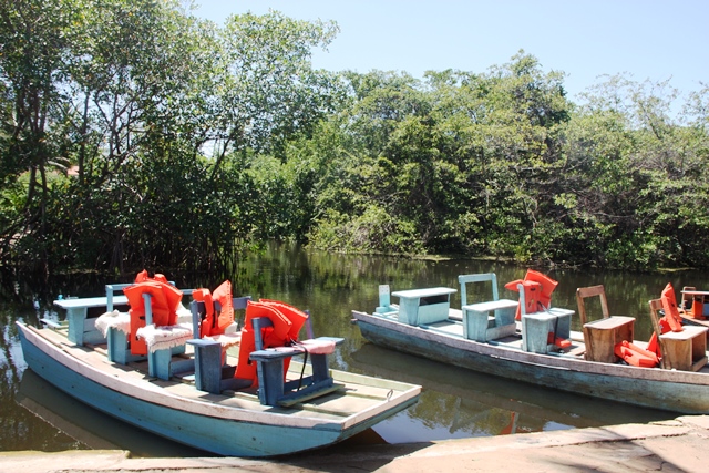 Os barquinhos prontos para navegar pelo manguezal 