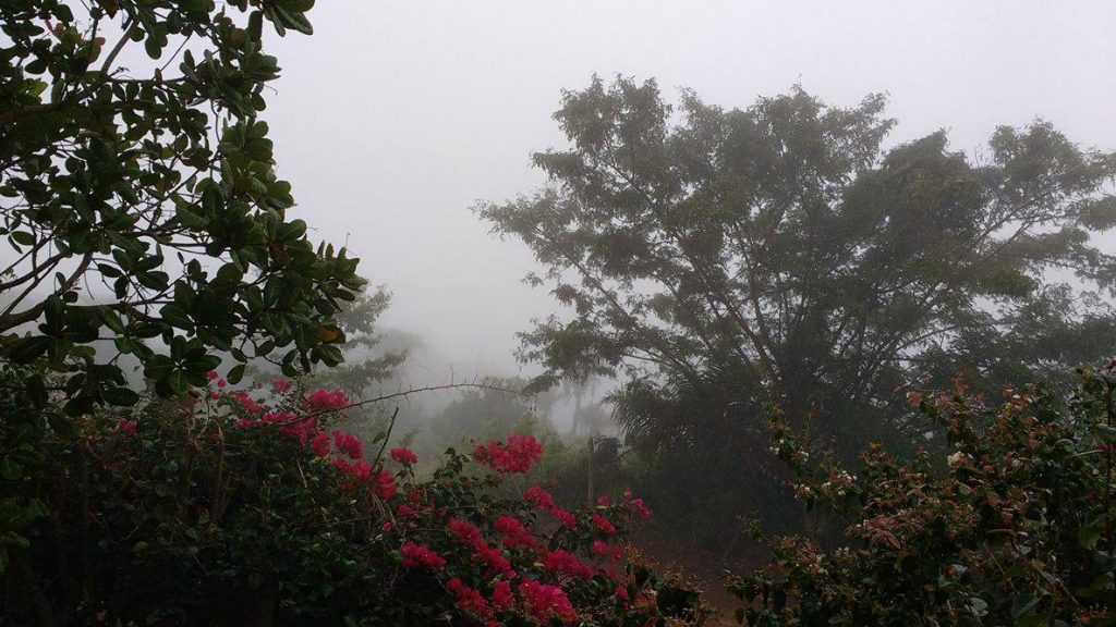 No alto da serra a neblina esconde a cidade de Água Branca